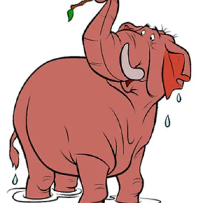 Colonel Hathi