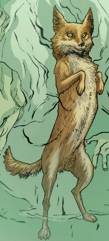 Coyote