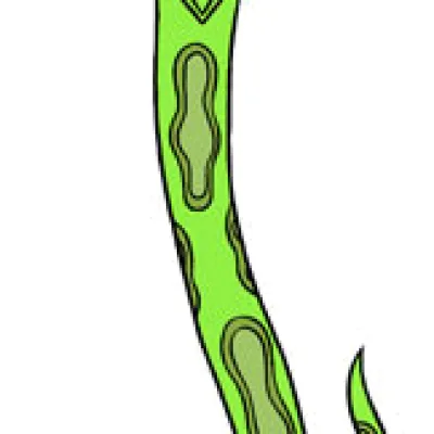 Craig Slithers