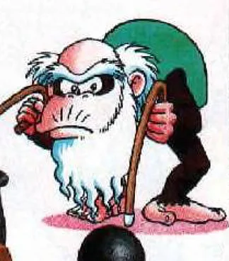 Cranky Kong