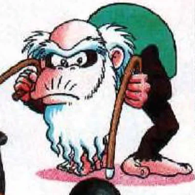 Cranky Kong