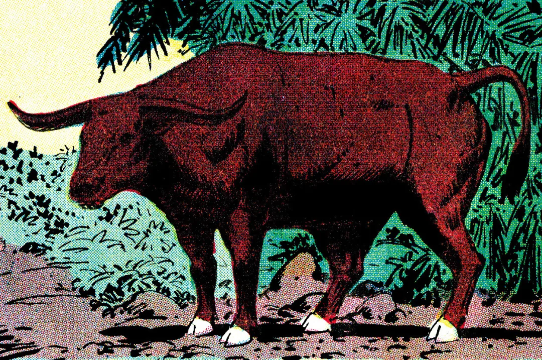 Cretan Bull
