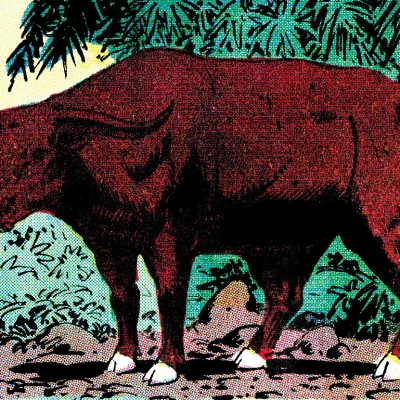 Cretan Bull