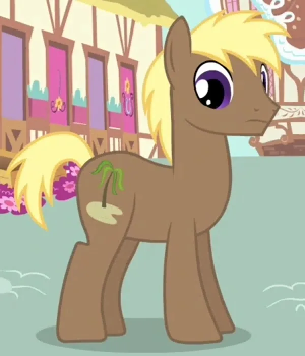 Crusoe Palm