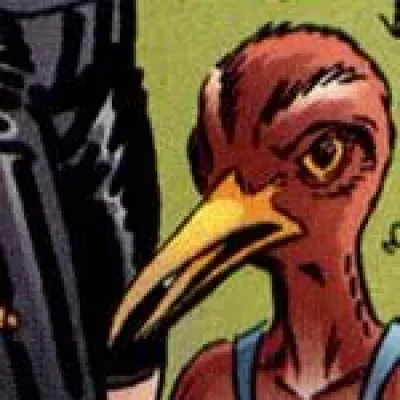 Curlew