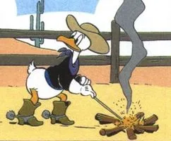 Cuthbert Coot