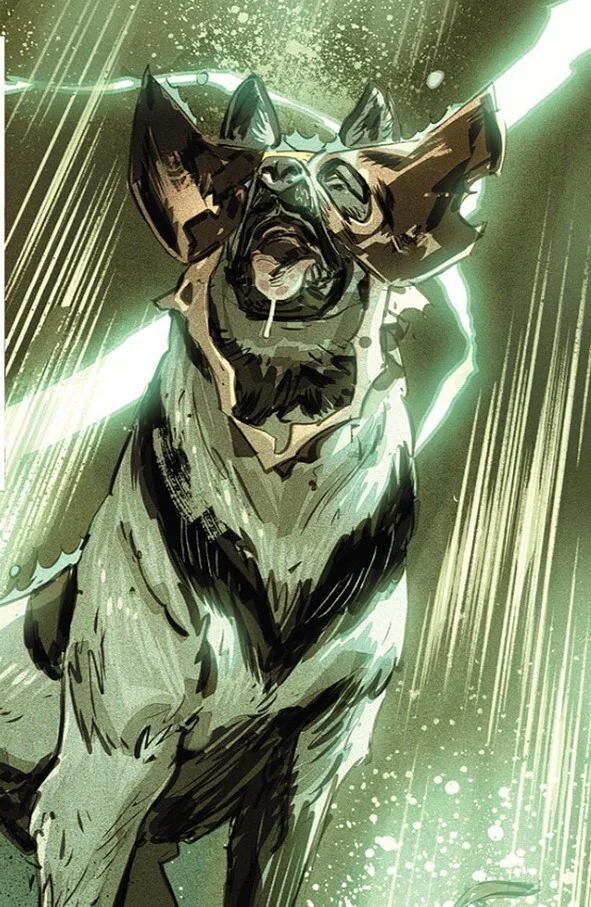 D-Dog