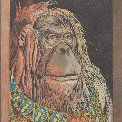 Dave the Orangutan