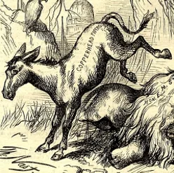Democratic Donkey