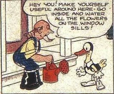 Dickie Duck
