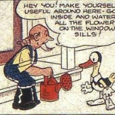 Dickie Duck