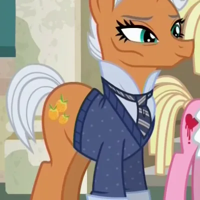 Dignified Shop-Pony