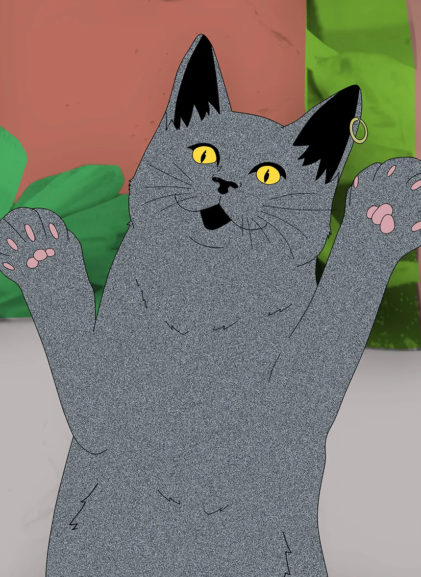 District Cat