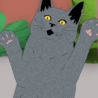 District Cat