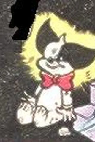 Dizzy Dog