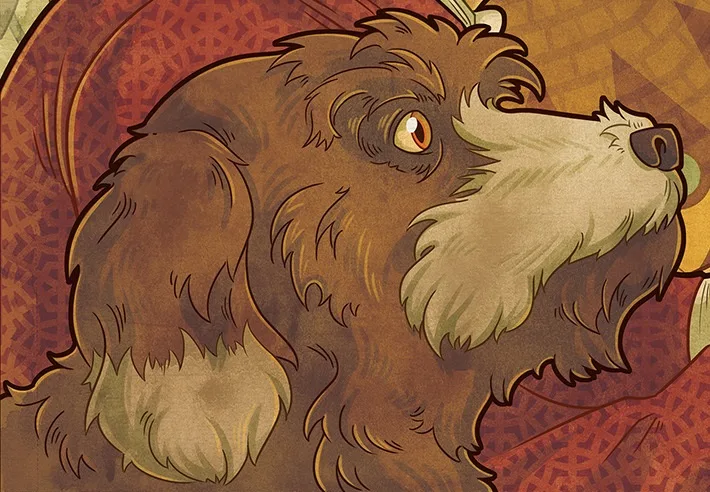 Dog