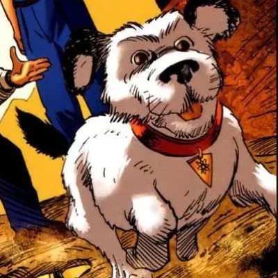 Dog
