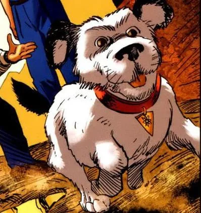 Dog