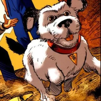 Dog