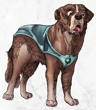 Dog 54-Alpha
