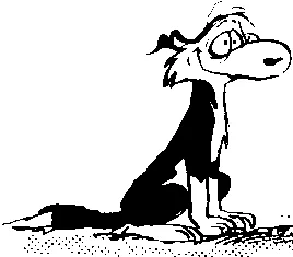 Dog