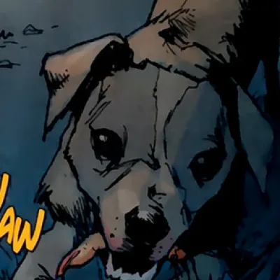 Dog of Mr. Kreeg