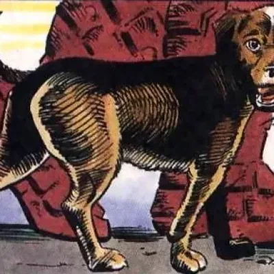 Dogg