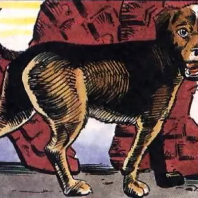 Dogg