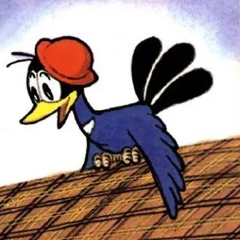 Donguri