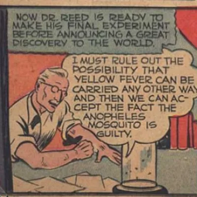 Dr. Reed