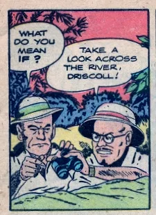 Driscoll