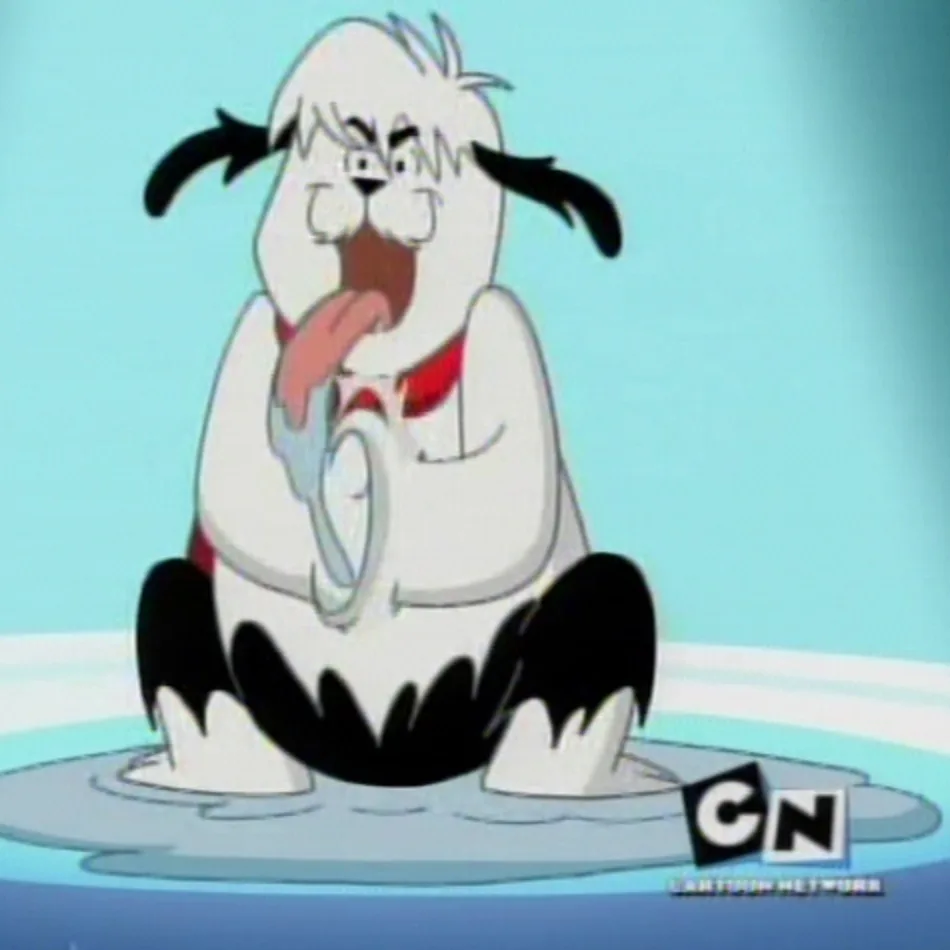 Drooly