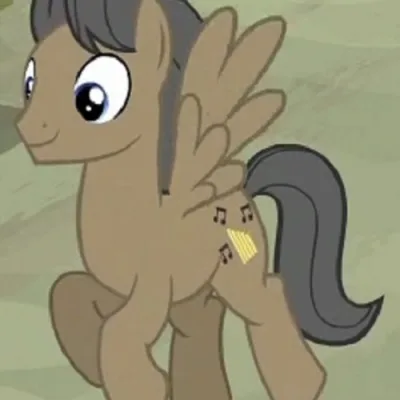 Eager Townspony
