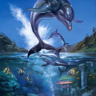 Ecco the Dolphin