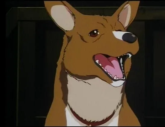 Ein