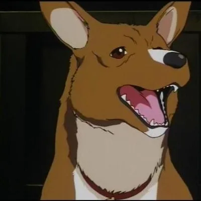 Ein