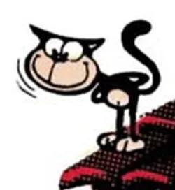 El gato