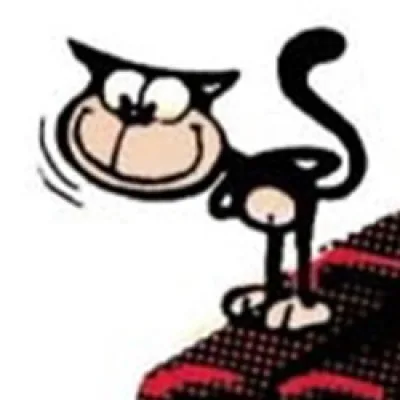 El gato