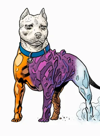 Element Dog