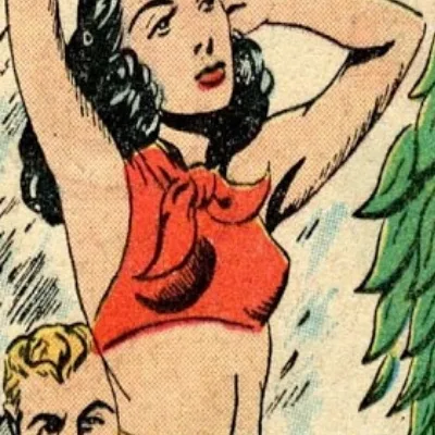 Fay Barrister