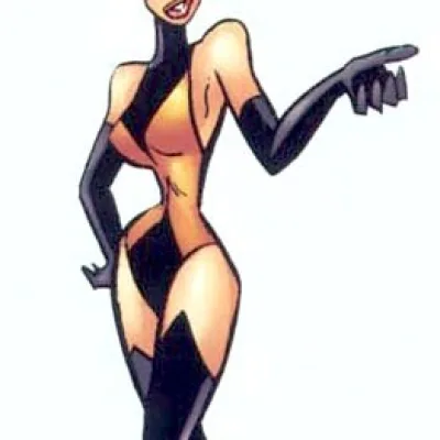 Ferret Female