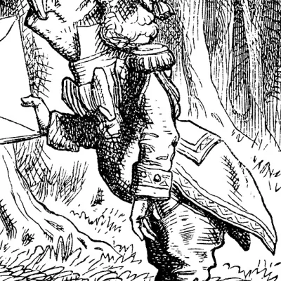 Fish Footman
