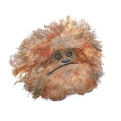 Fizzgig