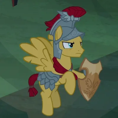Flash Magnus