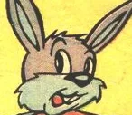 Flash Rabbit