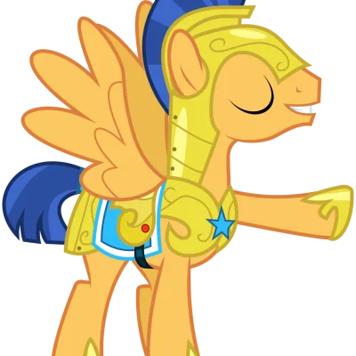 Flash Sentry