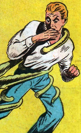 Flip Falcon