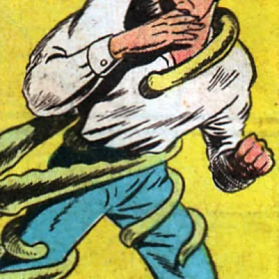 Flip Falcon