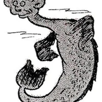 Flippy the Sea Serpent