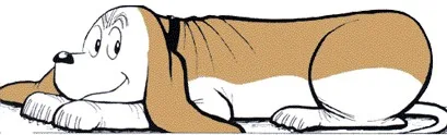 Fred Basset